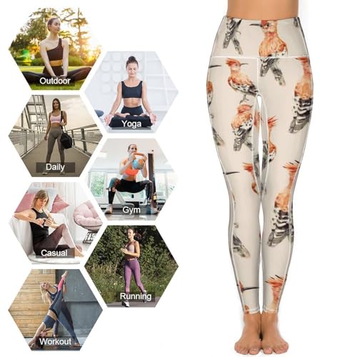 51vG24HeqIL.jpg Hoopoe Bird Watercolor Women's Yoga Pants Stretch Leggings with Pockets High Waist for Workout